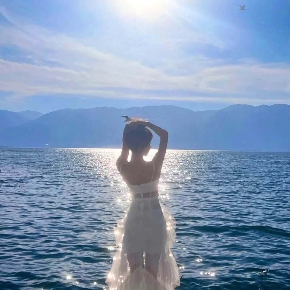 越南妹霍莉海报